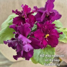 KZ-Костюмчик от Кутюр